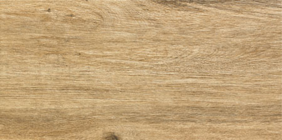 Walnut Brown Struktura 59,8x29,8