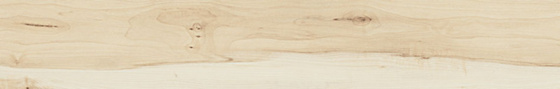 Wood Land Beige 119,8x19