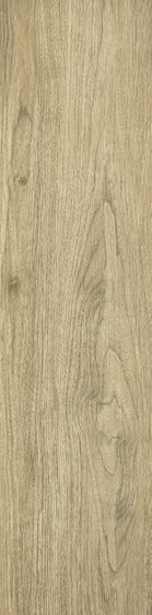 Almonte Natural Mat 29,8x119,8