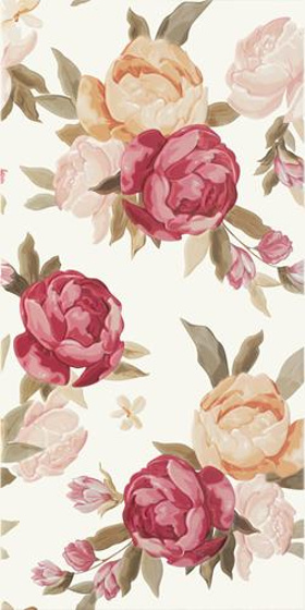 Bellicita Bianco Inserto Fiori 30x60