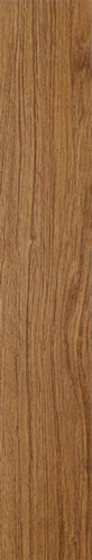 Rovere Giallo Mat 9,8x59,8
