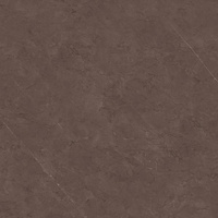 U123 Taupe Poler Promocja 60x60