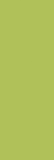 Midian Verde 20x60