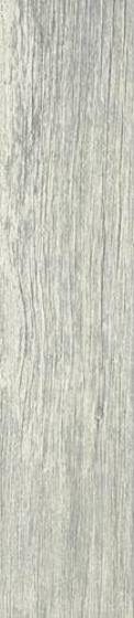 Foresta Grys Mat 21,5x98,5