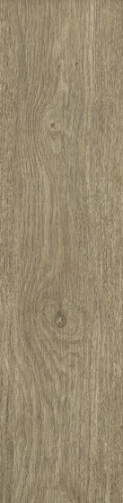 Almonte Brown Mat 19,8x119,8