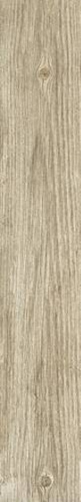 Foresta Beige Mat 16x98,5