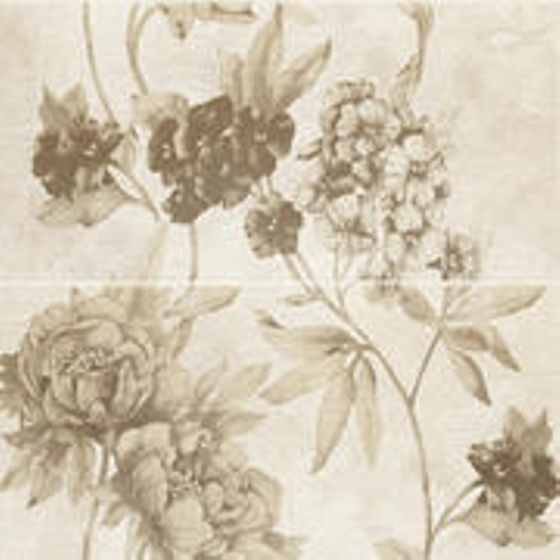 Inspiration Beige Panel 30x60x2