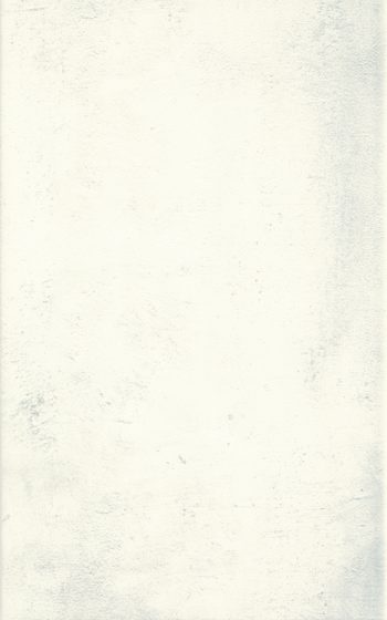 Muro Bianco 25x40