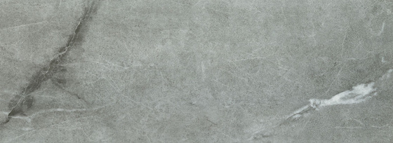 Organic Matt Grey 32,8x89,8