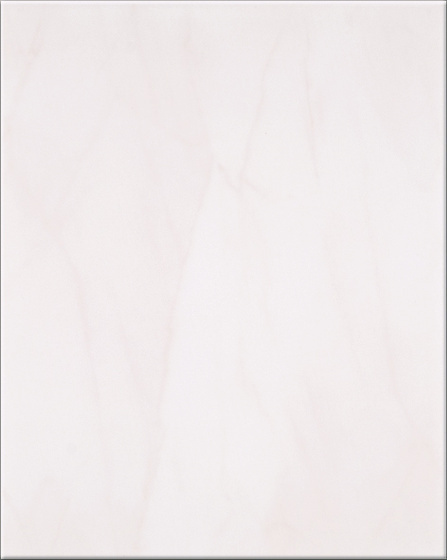 Tania Róż 20x25