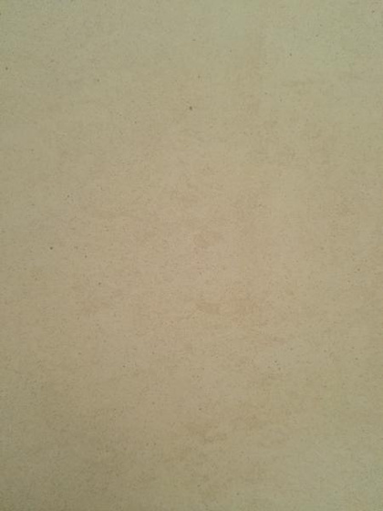 Terra Emilia White Satin 29,8x59,8