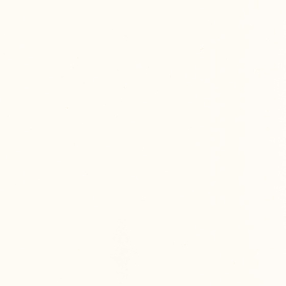 Gamma Bianco Połysk 9,8x19,8