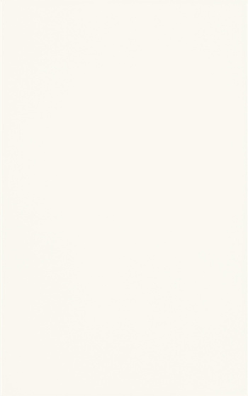 Martynika Bianco 25x40