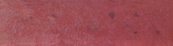Klinkier Cotto Naturale Elewacja 30x8,1