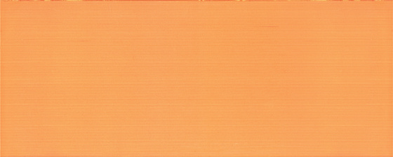 PSN Synthia Orange 20x50