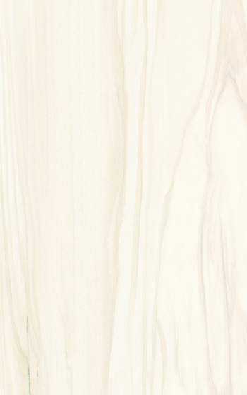 Nea Beige 25x40