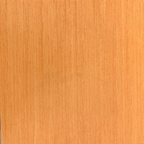 Tenero Orange 33,3x33,3