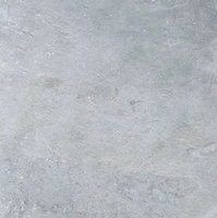Płyta Tarasowa Burlington Silver Struktura 20 mm Mat 59,5x59,5