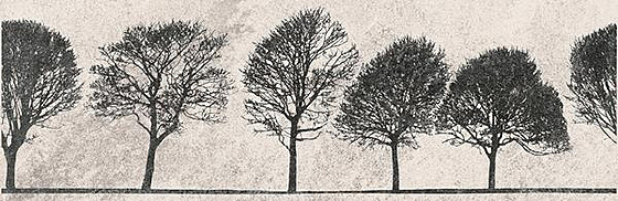 Willow Sky Inserto Tree 29x89