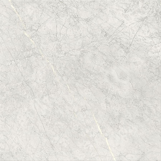 Stone Paradise Light Grey Matt 59,3x59,3