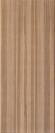 Sea Shell Brown 25x60
