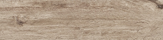 Siena Beige Perugia Baile 15,5x62