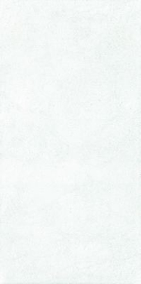 Merida Bianco 29,5x59,5