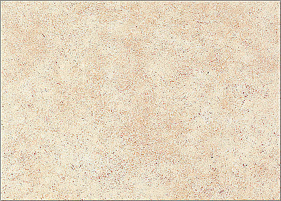 PSMN 260 Beż 25x35