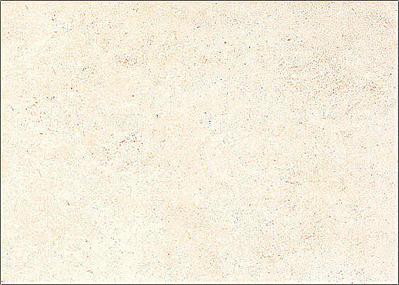 PSMN 260 Krem 25x35
