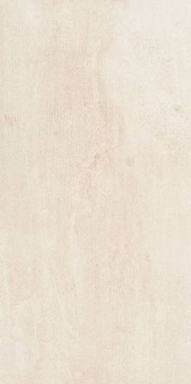 Shine Concrete 59,8x29,8