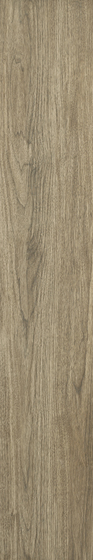 Almonte Brown Mat 19,8x119,8