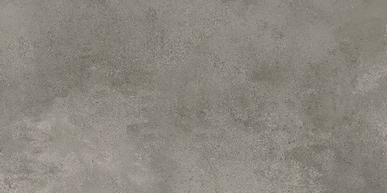 Quenos Grey 29,8x59,8