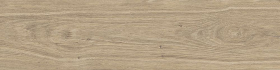 Dublin Beige 20x120