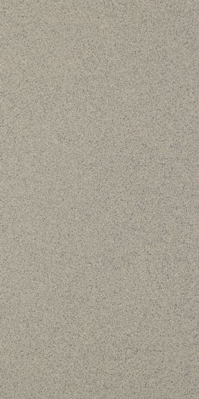Solid Silver Mat 29,8x59,8