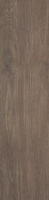 Płyta Tarasowa Willow Ochra Struktura 20 mm Mat 29,5x119,5