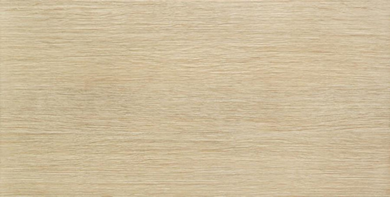 Biloba Beige 60,8x30,8