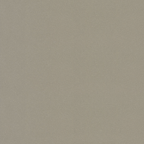Moondust Dark Grey Polished 59,4x59,4