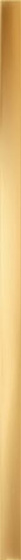 Gold Glossy Listwa 2,3x59,8