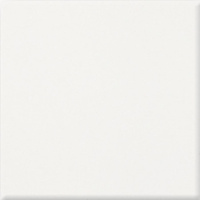 Pastel Biały 20x20