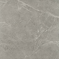 Ibis Grys Mat 60x60