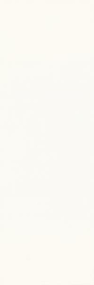Caya Bianco 25x75