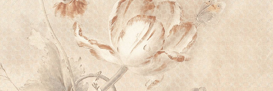 Malta Flower Mix 25x75