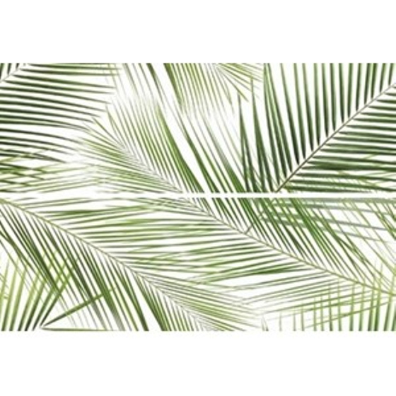 Centro Brennero Tropic Inserto 2x25x75