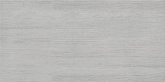 G312 Light Grey 29,8x59,8