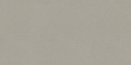 Moondust Light Grey Polished 29,5x59,4
