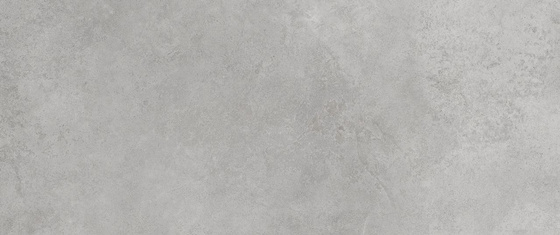 Max Grey 25x60