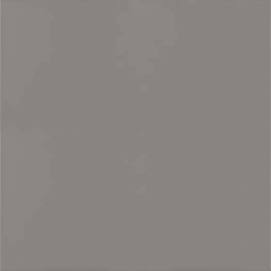 Bazo Grys Monokolor 59,8x59,8