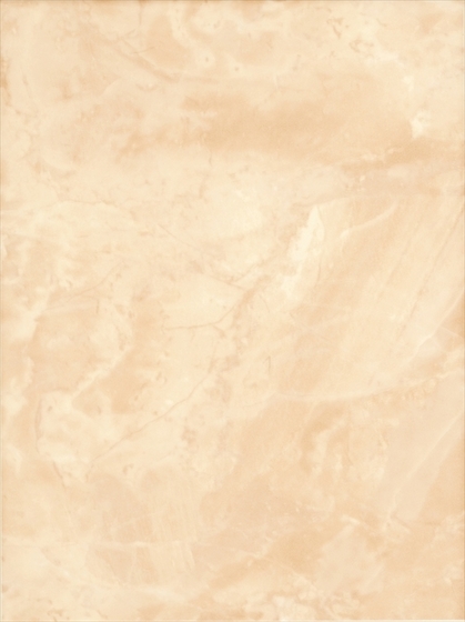 Amarylis Brown 25x33