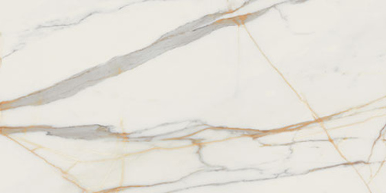 Marmo Doro Pol 119,8x59,8