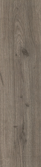 Dublin Soft Grey Dunedin 15,5x62